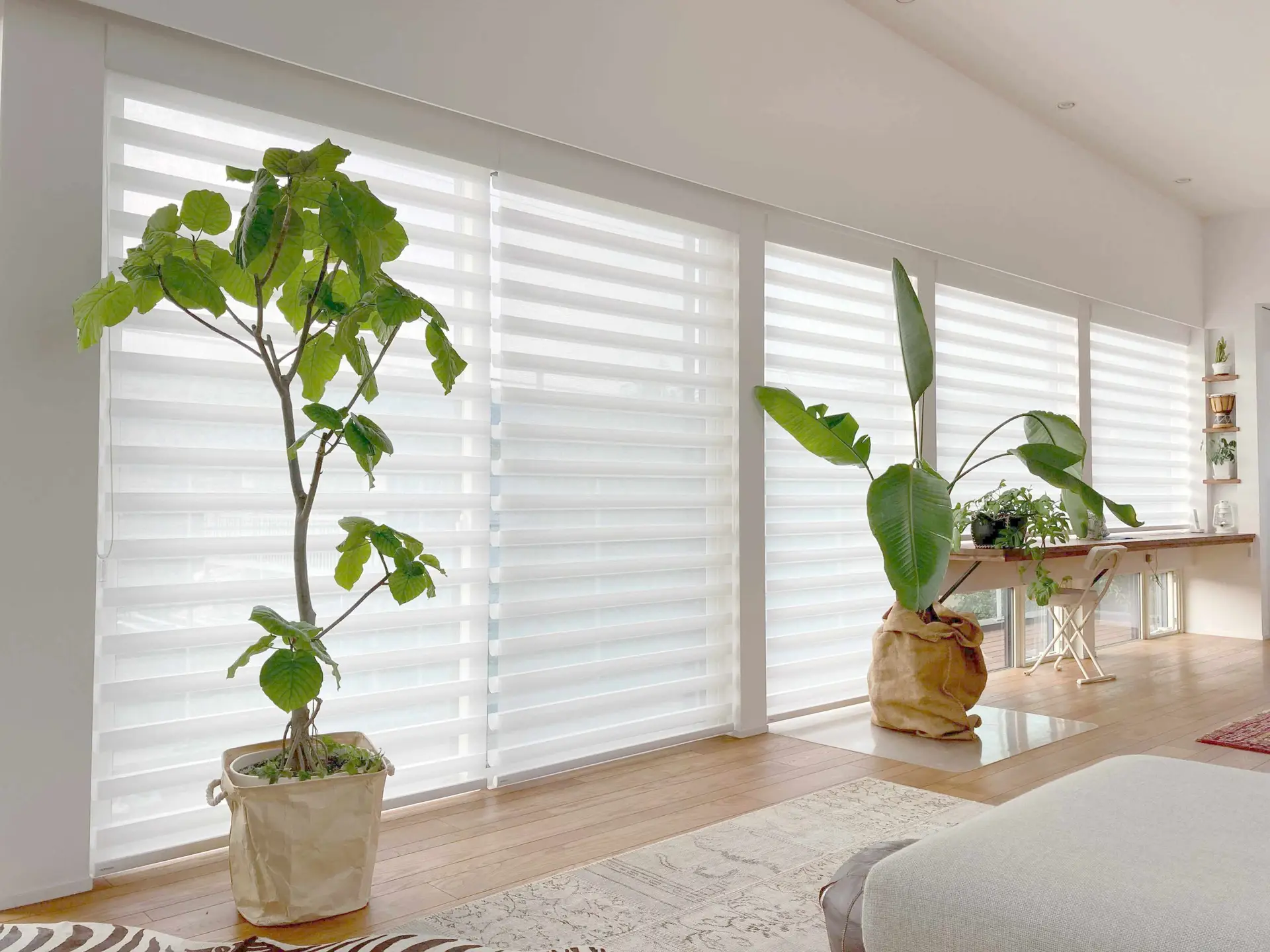 Sheer drapery in a bright living room